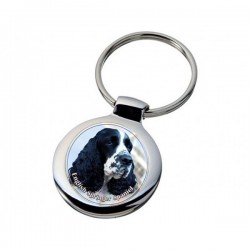 English Springer Spaniel