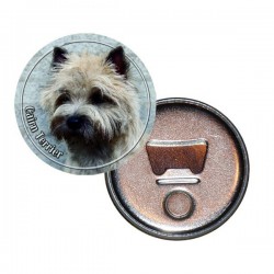 Cairn Terrier