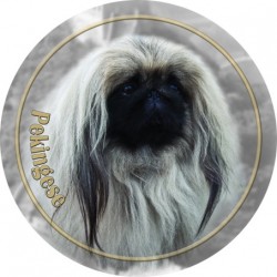 Pekingese