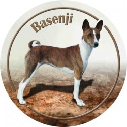 Basenji