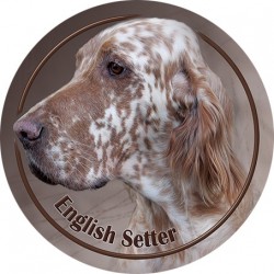 English Setter