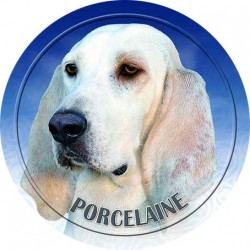 Porcelaine