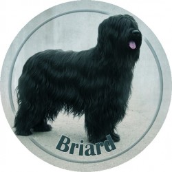 Briard