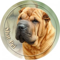 Shar Pei