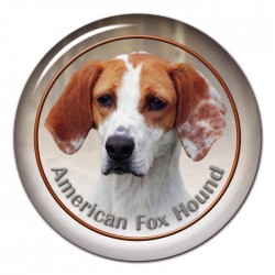 American Foxhound