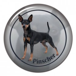 Pinscher