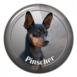 Pinscher