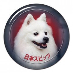 Japan Spitz