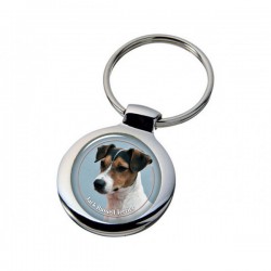 Jack Russell Terrier