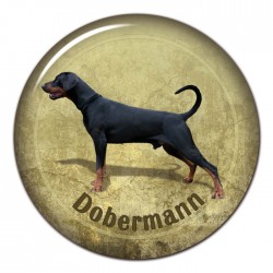 Dobermann