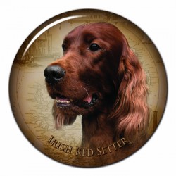 Irish Red Setter