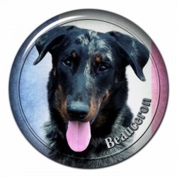 Beauceron