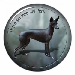 Perro sin Pelo del Peru