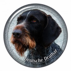 Deutscher Drahthaariger Vorstehhund