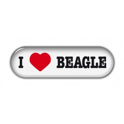 Beagle