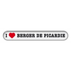 Berger de Picardie