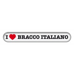 Bracco Italiano