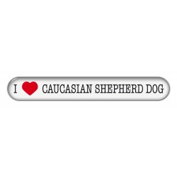 Caucasian shepherd dog