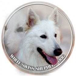 White Swiss Shepherd Dog  