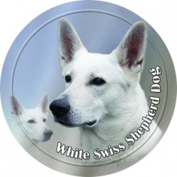 White Swiss Shepherd Dog